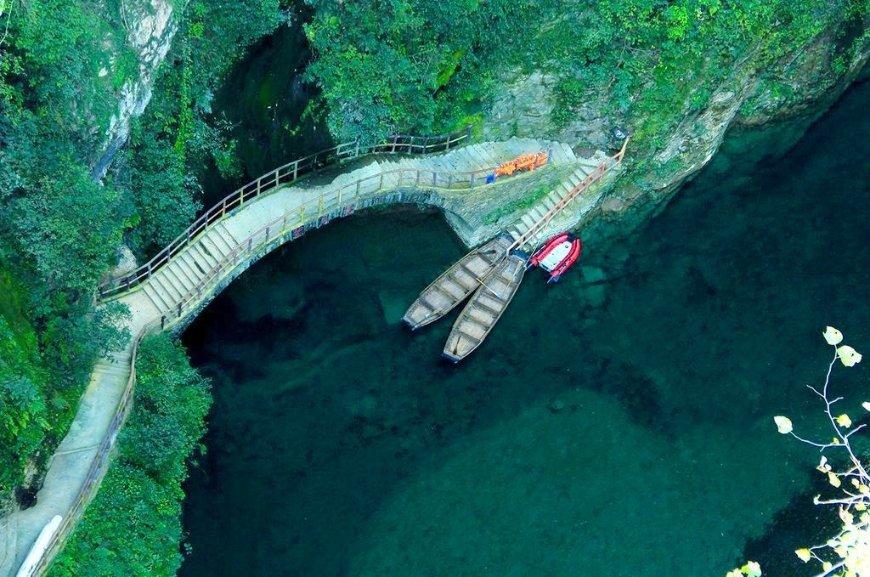 看门狗